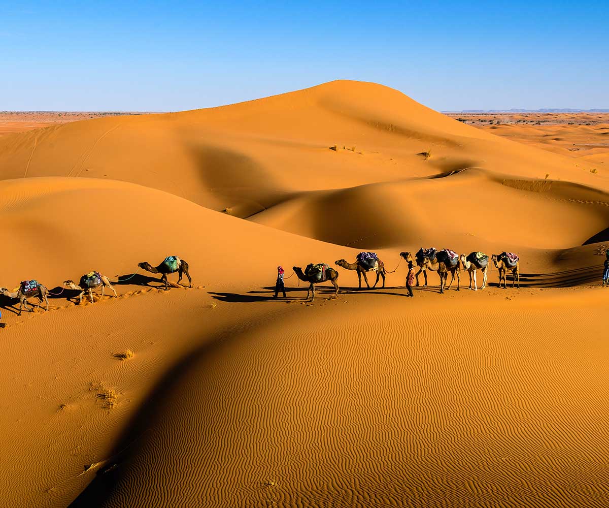 Desert Safari 