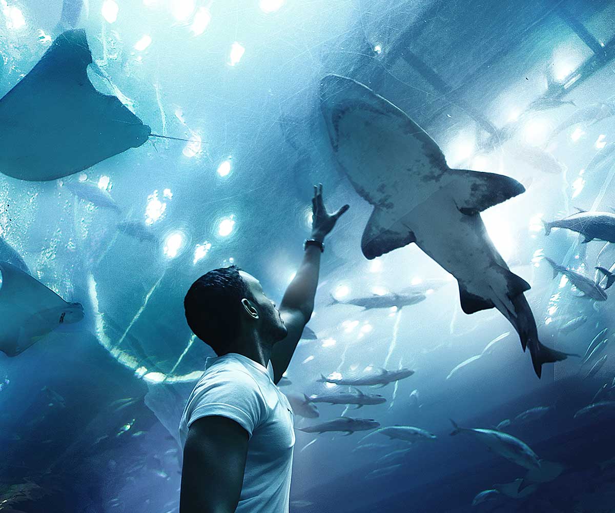  Dubai Aquarium and Underwater Zoo